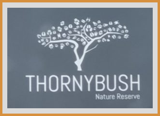 Extreme Thatchers Client - Thornybush