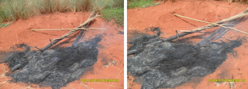 Extreme Thatchers - Non treated structure Extreme Thatchers - Non treated structure